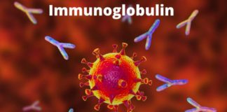 Immunoglobulin Market by Global Demand and Top Players 2021 to 2030 Immunoglobulin Market by Global Demand and Top Players 2021 to 2030