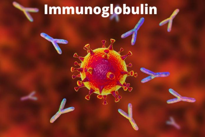 Immunoglobulin Market by Global Demand and Top Players 2021 to 2030 Immunoglobulin Market by Global Demand and Top Players 2021 to 2030