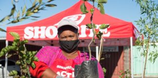 Shoprite donates fruit and indigenous trees to the Avian Park community