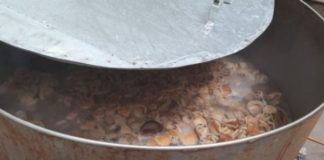 R3 million worth of abalone recovered, CapeTown