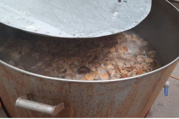 R3 million worth of abalone recovered, CapeTown R3 million worth of abalone recovered, CapeTown