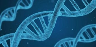 DNA testing, tracking and tracing of Forensic Exhibits: SAPS updates on progress DNA testing, tracking and tracing of Forensic Exhibits: SAPS updates on progress