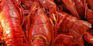 Two arrested with 4476 crayfish tails, worth R450k, Moorreesburg
