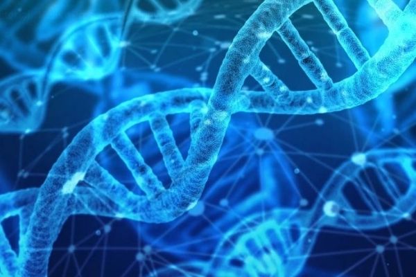 Backlog with DNA tests could very well get worse Backlog with DNA tests could very well get worse