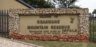 Impala Rustenburg invests in Kgaswane Mountain Reserve upgrade