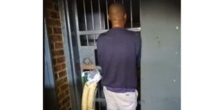 Man arrested with two elephant tusks, Alberton. Photo: SAPS