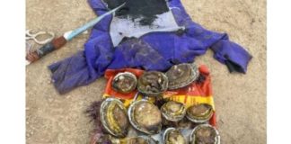 Abalone poachers arrested, Port Alfred. Photo: SAPS
