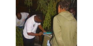 Cannabis franchise owner appears in court, R2 million dagga seized. Photo: SAPS