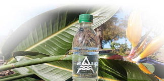 Aquasky’ PLA eco bottle is a 100% compostable plant-based bottle