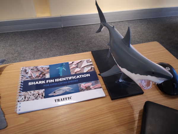 Law enforcement officials harness technology to combat trafficking in shark products