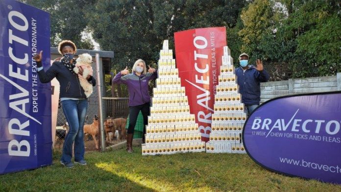 More vulnerable cats and dogs get tick and flea protection through generous #BravectoCares campaign