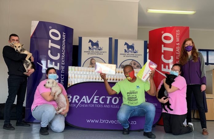 #BravectoCares campaign continues to support animal welfare NPOs with two more Bravecto donations #BravectoCares campaign continues to support animal welfare NPOs with two more Bravecto donations