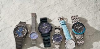 The Blue Crew - Seasonal Updates From Fossil