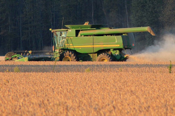 Vierfontein farmer assists in arrest of 2 with stolen maize seed worth R850k Vierfontein farmer assists in arrest of 2 with stolen maize seed worth R850k