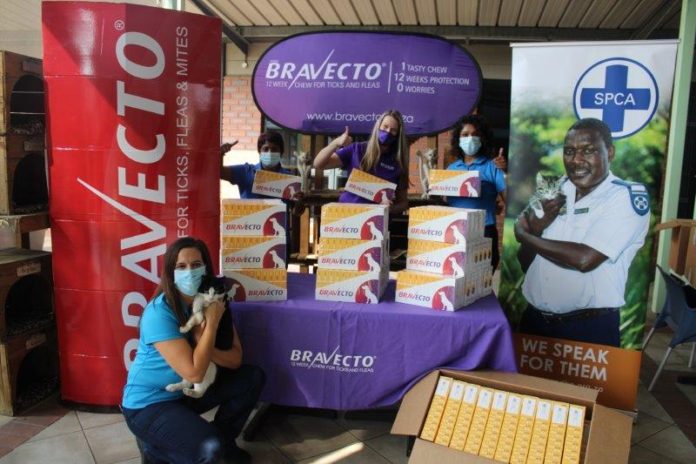#BravectoCares distributes 27 000 doses of Bravecto product to animal welfare organisations across the country