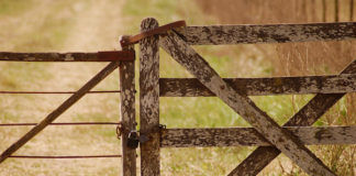 Farm attack, farm manager assaulted, sheep stolen, Welbekend