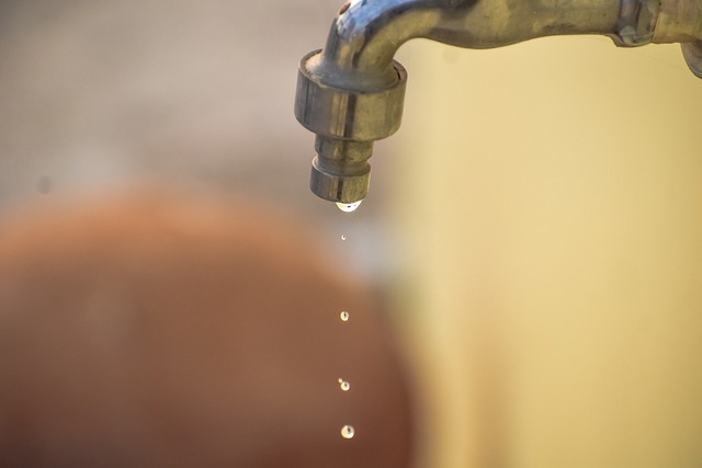 Tips on How You Can Conserve Water