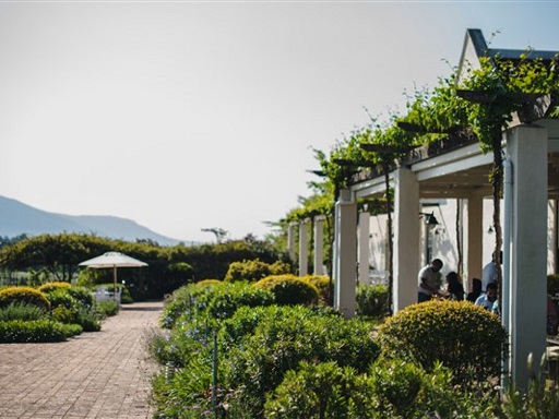 Avondale Wine Estate (Paarl) opens its private gardens this October with all proceeds to charity. Support Local. Save Local.