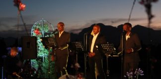 Avondale Wine Estate – A must visit this summer! Avondale Wine Estate – A must visit this summer!