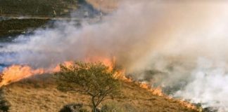 Northern Cape fires: Thorough investigation into allegations of arson is crucial