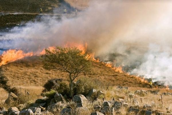Northern Cape fires: Thorough investigation into allegations of arson is crucial Northern Cape fires: Thorough investigation into allegations of arson is crucial