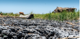 Time For Urgent Action And Funds To Make Water Central To African Climate Policies