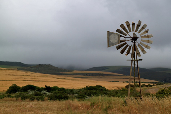 Modimolle farm attack: FF Plus visits victim (19) in hospital, donates clothes Modimolle farm attack: FF Plus visits victim (19) in hospital, donates clothes