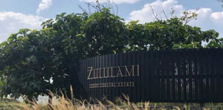 Biophilic design – Creating strong connections between nature and man-made environments
