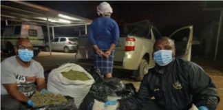 R550k worth of drugs recovered, woman arrested, Kimberley. Photo: SAPS
