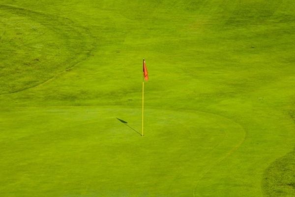 Construction of low-cost housing on golf courses – DA’s plan will jeopardise property values Construction of low-cost housing on golf courses – DA’s plan will jeopardise property values