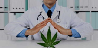 A Medical Cannabis Training Roadshow launches to educate SA Physicians
