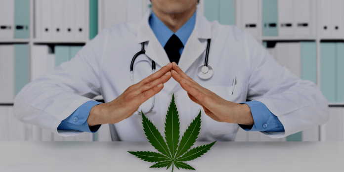 First in Africa: A Medical Cannabis Training Roadshow launches to educate SA Physicians
