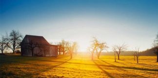 Farm attack, elderly couple assaulted, tied up in their home, Bettys Bay