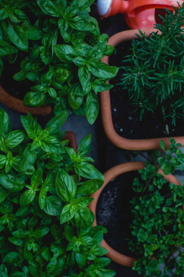 Match your space with the perfect flower pots Match your space with the perfect flower pots