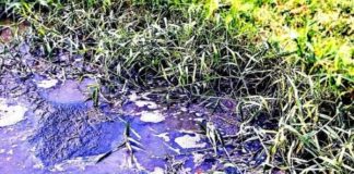 Pollution of Vaal River: FF Plus lodges criminal complaint against Minister of Water and Sanitation