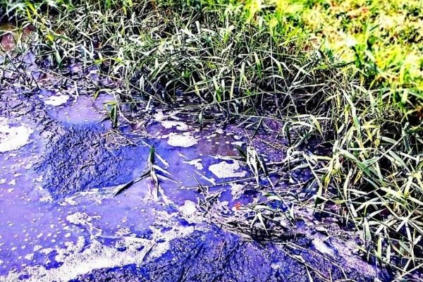 Mismanagement by incompetent ANC – Raw sewage pollution in Ventersdorp a crisis