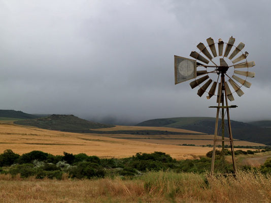 Dundee farmer denied bail, AfriForum to appeal courts decision