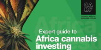 A guide to Africa cannabis investing at the first cannabis trade virtual conference