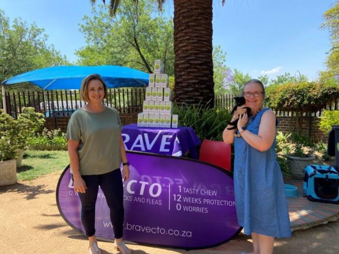 #BravectoCares campaign sponsors millions worth of treatment for cat welfare NPOs in South Africa