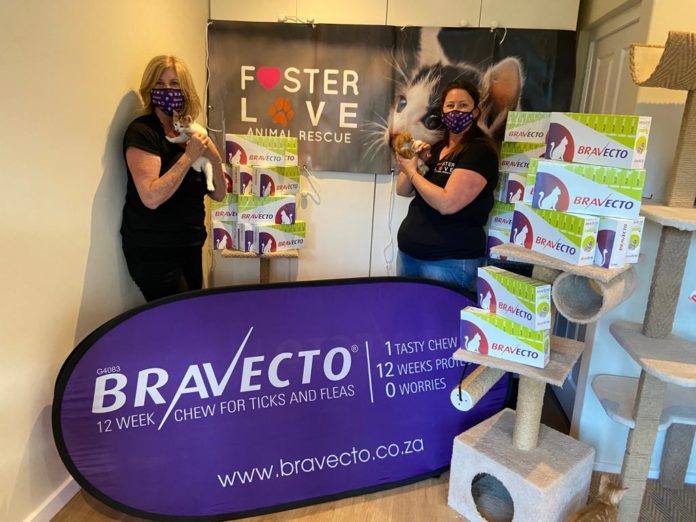 Latest #BravectoCares sponsorship keeps cats healthy and happy
