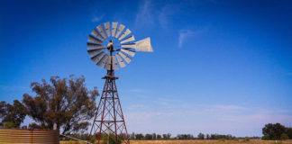 Farm murder: Farmer shot dead for 2 phones and a laptop, Muldersdrift