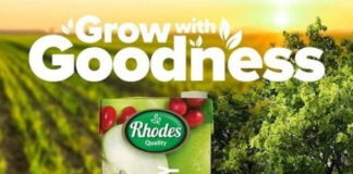 Sixty SA schools to get sustainable food gardens from Rhodes Quality