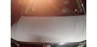Cornelia car thief arrested in Vrede