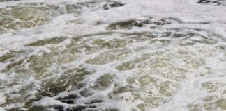 Sewage dumping in White River Nature Reserve – FF Plus requests intervention