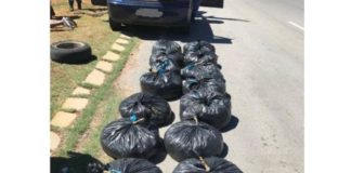 R117k worth of dagga found in boot of car, Orkney R117k worth of dagga found in boot of car, Orkney