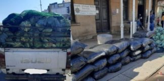 R500k worth of dagga recovered, Vryheid R500k worth of dagga recovered, Vryheid