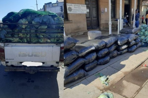 R500k worth of dagga recovered, Vryheid R500k worth of dagga recovered, Vryheid