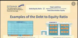Growth Debt Financing Growth Debt Financing