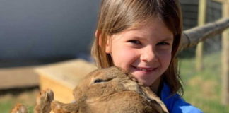 Let the kids reconnect with nature this summer at Dingo’s Wildlife Club