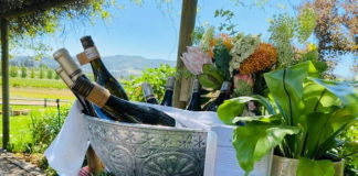Ongoing diversification ensures an ever-expanding family experience, with something for everyone, at Avondale Wine Estate Ongoing diversification ensures an ever-expanding family experience, with something for everyone, at Avondale Wine Estate